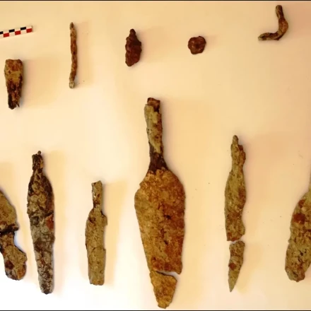 Δεν πίστευαν στα μάτια τους οι αστυνομικοί - Είχαν κρυμμένο αρχαίο θησαυρό στο σπίτι τους