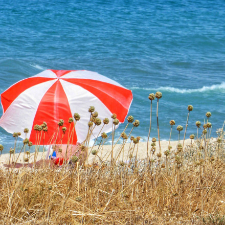 Κοινωνικός Τουρισμός 2025: Σε εξέλιξη οι αιτήσεις - Ποια ΑΦΜ έχουν προτεραιότητα σήμερα Παρασκευή