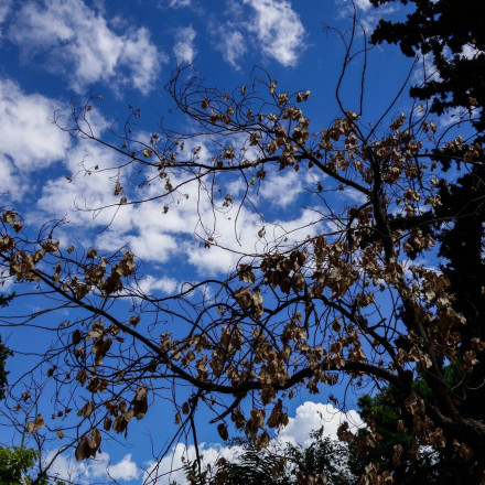 Καιρός: Ανεβαίνει και πάλι ο υδράργυρος - Σε ποιες περιοχές αναμένονται βροχές