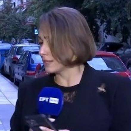 Ρεπόρτερ της ΕΡΤ δέχθηκε on air «επίθεση» από τεράστιο έντομο - Η στιγμή του απρόοπτου