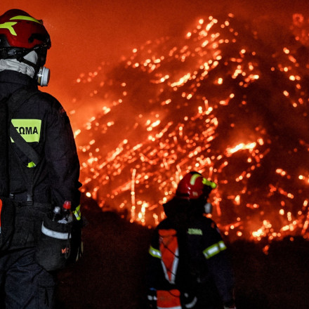 Κορινθία: Βαριά «καμπάνα» στον αντιδήμαρχο Ξυλοκάστρου - Ομολόγησε ότι «κάπνιζε» τα μελίσσια του