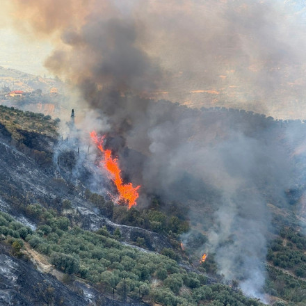 Φωτιά στο Ξυλόκαστρο: Η Πυροσβεστική έβαλε πρόστιμο για κάπνισμα μελισσιών