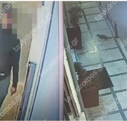 Αδιανόητο: Άνδρας προσεγγίζει ζώα στο Βόλο και μετά τα μαχαιρώνει στη μέση του δρόμου Αδιανόητο: Άνδρας προσεγγίζει ζώα στο Βόλο και μετά τα μαχαιρώνει στη μέση του δρόμου