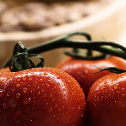 Viral βιοκαλλιεργητής προειδοποιεί για τις ντομάτες: «Μην τις βάζετε στο ψυγείο, τις πετάτε»