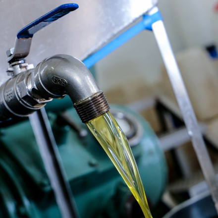 Κλοπή «μαμούθ» στο Αιτωλικό - «Σήκωσαν» 600 κιλά λάδι από ελαιοτριβείο