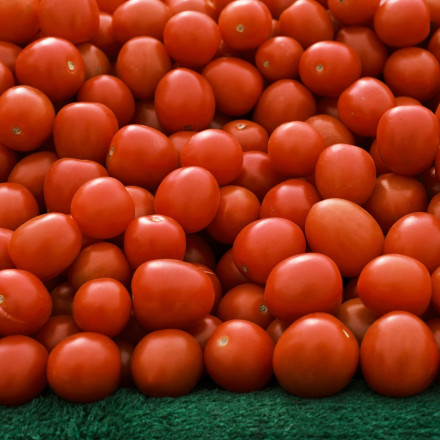 Είδος πολυτελείας οι ντομάτες - Οι παράγοντες που «βάζουν καπέλο» στις τιμές των οπωροκηπευτικών