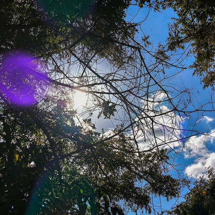 Σάκης Αρναούτογλου: Η πρόβλεψη για «ψυχρή κατεβασιά» - Με τι καιρό θα κάνουμε 28η Οκτωβρίου