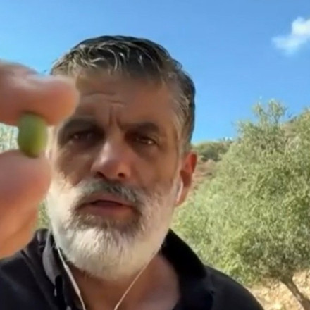 Ανατροπή στο λάδι: Η χρονιά... χάθηκε - Η ανομβρία ρίχνει δραματικά την παραγωγή, στα ύψη οι τιμές