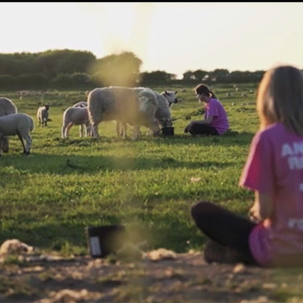Βρετανία: Ακτιβίστριες έκλεψαν αρνιά από το κτήμα του βασιλιά Καρόλου