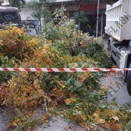 Αναστάτωση στην Ομόνοια: Φορτηγό έπεσε σε δέντρο και το ξερίζωσε