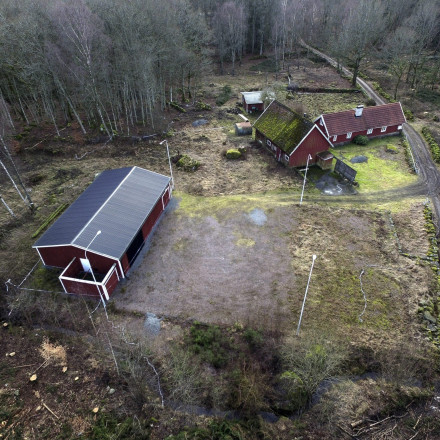 «Με νάρκωσε με φράουλες»: Η ανατριχιαστική ιστορία 39χρονης που «φυλακίστηκε» από Σουηδό γιατρό