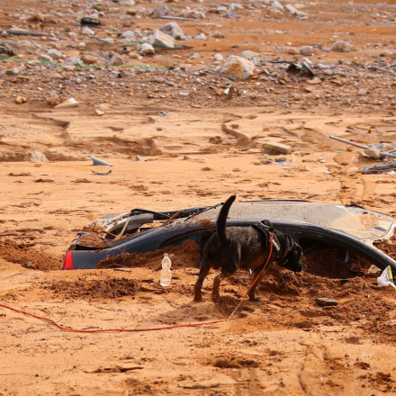 Σοκάρει ο Λέκκας από Βαλένθια: Τεράστιες επιπτώσεις αν η βροχή έπεφτε στην Αττική - Οι περιοχές SOS