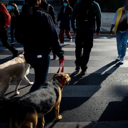 Πιο ασφαλής για τους πεζούς η Αθήνα - Νέες διαβάσεις και πινακίδες