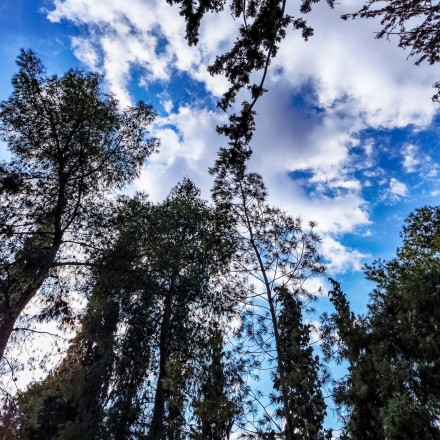 «Τα νέα δεν είναι καθόλου ευχάριστα»: Τι λένε οι μετεωρολόγοι για τον καιρό των επόμενων ημερών