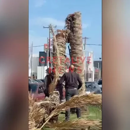 «Έκοψε» στα δύο φοίνικας σε κεντρικό δρόμο του Ηρακλείου