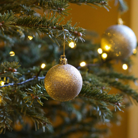 Η ξηρασία απείλησε τα Χριστούγεννα: Πόσο θα πληρώσουμε φέτος το έλατο