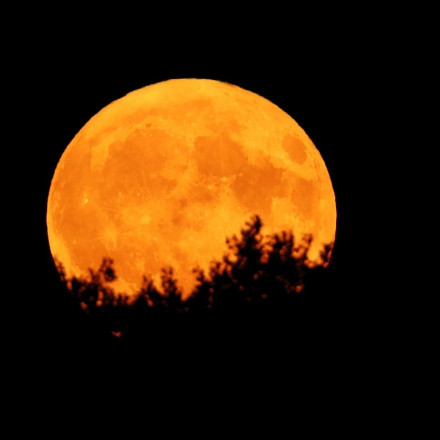 «Το φεγγάρι του κάστορα»: Έρχεται η υπερπανσέληνος του Νοεμβρίου