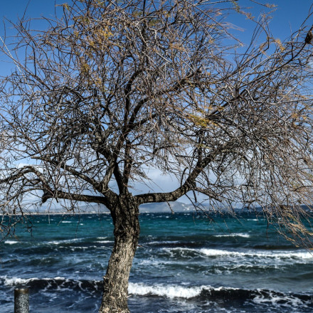 «Στο ψυγείο» η χώρα για ένα 48ωρο: Βοριάδες 8 μποφόρ και χιόνια