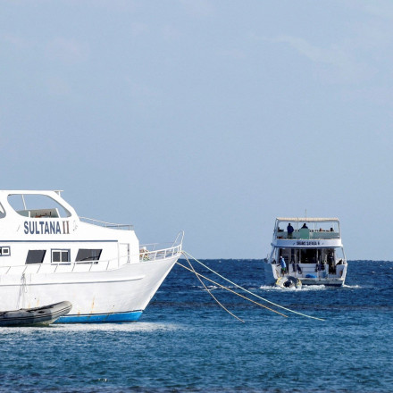 Ναυάγιο τουριστικού σκάφους στην Ερυθρά Θάλασσα: Στους 4 οι νεκροί - Αγωνία για τους αγνοούμενους