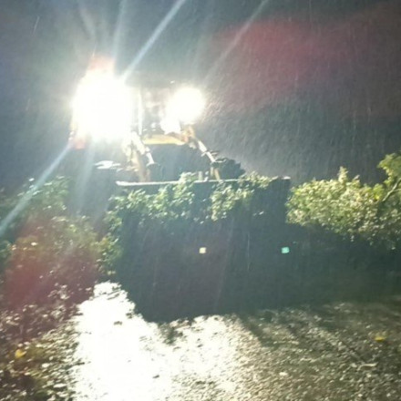 Τρίκαλα: Ισχυροί άνεμοι έριξαν δέντρα και έκλεισαν δρόμους - Χωριά έμειναν χωρίς ρεύμα