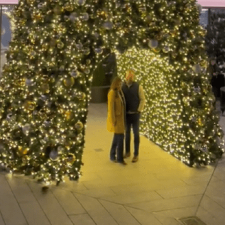 Απρόσμενος «επισκέπτης» επισκίασε πρόταση γάμου - Πώς κατέστρεψε το ρομαντικό σκηνικό