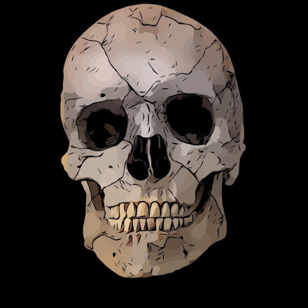 Ανακάλυψη που ανατρέπει όσα γνωρίζαμε: Βρέθηκε νέο αρχαίο ανθρώπινο είδος