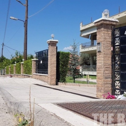 Το Εφετείο καταδίκασε 33χρονο που παρέσυρε και σκότωσε γιαγιά και εγγόνι το 2019 - Ήταν ελεύθερος έως σήμερα