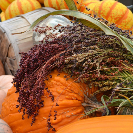 Το φουλ-σε-πρωτεΐνη αρχαίο δημητριακό που λέει «όχι» στην κοιλιοκάκη