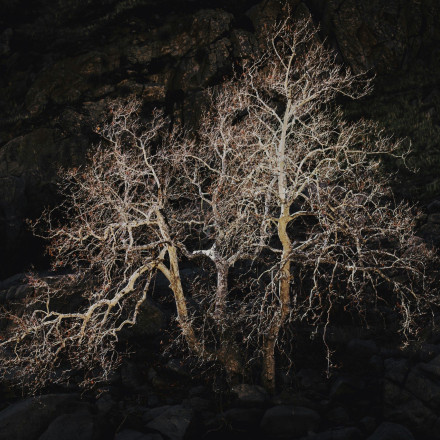 Οι «αριθμοί της καταστροφής» από τις πυρκαγιές  το 2024 - Κόβουν την ανάσα τα στοιχεία