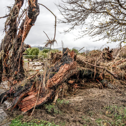 Προβλήματα από την κακοκαιρία στη Ζάκυνθο - Οι δρόμοι έγιναν ποτάμια