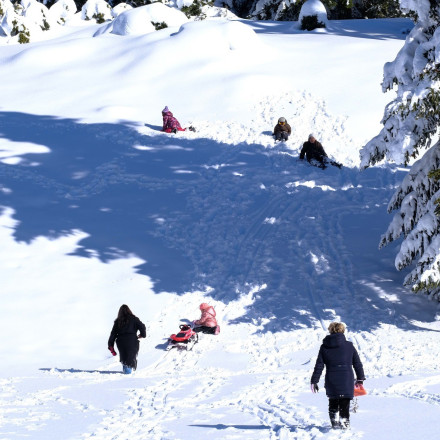 Πόλος έλξης τα ελληνικά χιονοδρομικά κέντρα - Ποια κατέγραψαν ρεκόρ επισκεψιμότητας