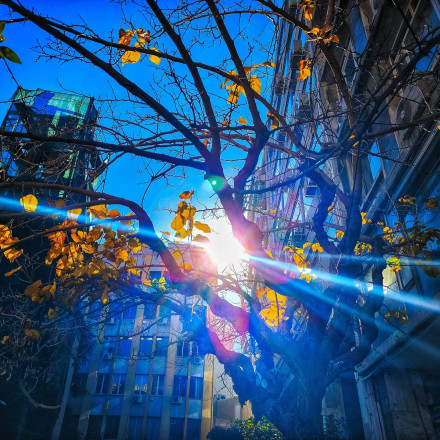 «Υπομονή» λίγες μέρες: Πότε επιστρέφει το ανοιξιάτικο σκηνικό στον καιρό - Η πρόγνωση Κολυδά