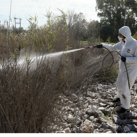 ΕΟΔΥ: Αναλυτικά τα μέτρα προστασίας από τα κουνούπια και τον ιό του Δυτικού Νείλου