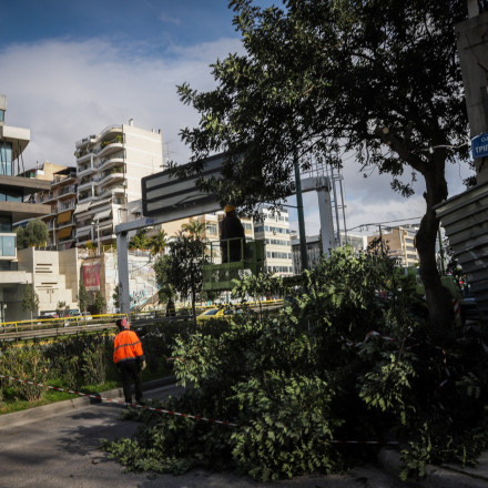 Πτώση δέντρου στη Λεωφόρο Ιωνίας στις Αχαρνές - Διακοπή της κυκλοφορίας