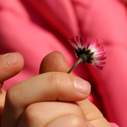 Κλείνει η πλατφόρμα για το Επίδομα Παιδιού - Όλες οι εξελίξεις
