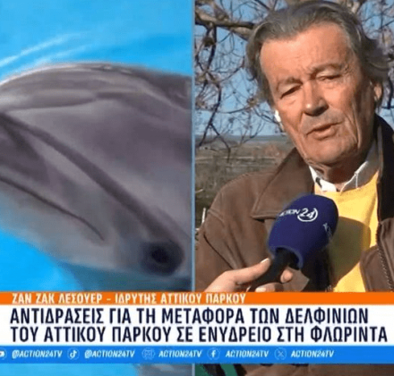 Αττικό Πάρκο: Αντιδράσεις για τη μεταφορά 5 δελφινιών στη Φλόριντα - «Δεν θα επιβίωναν στο Αιγαίο» Αττικό Πάρκο: Αντιδράσεις για τη μεταφορά 5 δελφινιών στη Φλόριντα - «Δεν θα επιβίωναν στο Αιγαίο»