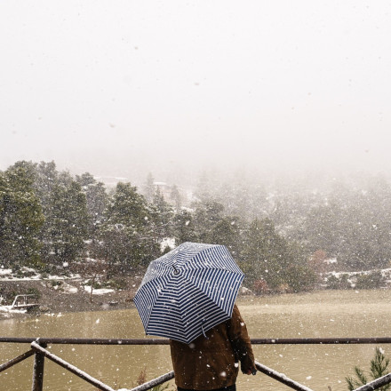 «Παράταση» τουλάχιστον μέχρι του Αγίου Βαλεντίνου παίρνει η παγωνιά - Η εκτίμηση Καλλιάνου