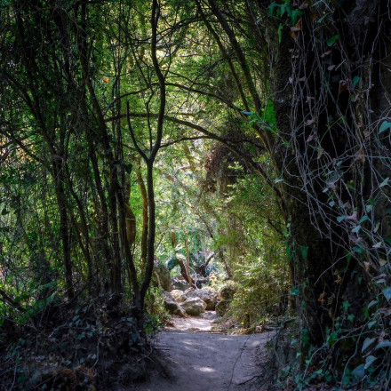 Σε κίνδυνο ο Αχέροντας; Πώς μοντέλο Τεχνητής Νοημοσύνης μπορεί να σώσει το μοναδικό τοπίο