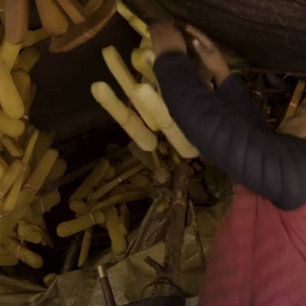 Το τυρί που τρώνε οι ορειβάτες Σέρπα και οι αθλητές αντοχής - Γιατί «θωρακίζει» την καρδιά