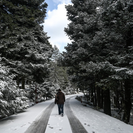 Στα λευκά η Πάρνηθα - Εικόνες από την πυκνή χιονόπτωση στα ορεινά της Αττικής