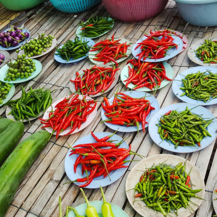 Σε αυτή την τροπική πόλη οι κάτοικοι φτάνουν 100 χρονών - Αυτά είναι τα τρία φαγητά που τρώνε