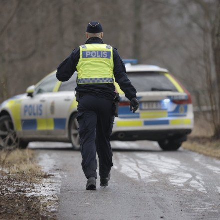 Θρίλερ με δεκαμελή οικογένεια στη Φινλανδία - Γονείς άρπαξαν τα παιδιά τους και εξαφανίστηκαν