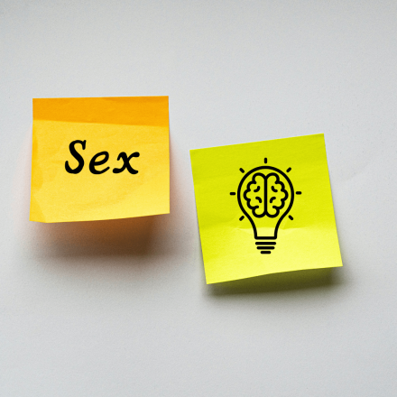 Αφήστε τα σταυρόλεξα - Το σεξ αυξάνει την ευφυΐα και βελτιώνει τη μνήμη, λένε οι επιστήμονες