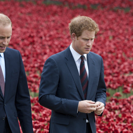 Ουίλιαμ ή Χάρι: Ποιον βασιλικό αδελφό προτιμούν οι Αμερικανοί - Πού κατατάσσονται Κέιτ και Μέγκαν
