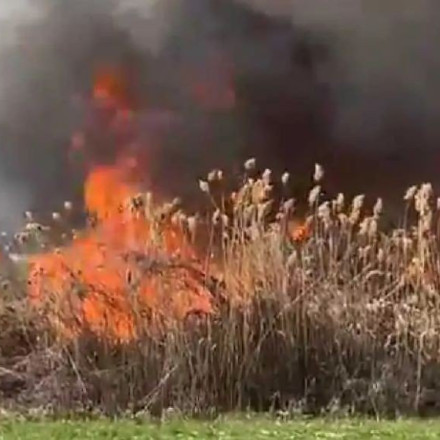 Μεγάλη φωτιά στα Καλάβρυτα: Επιχειρεί ισχυρή δύναμη και ένα ελικόπτερο