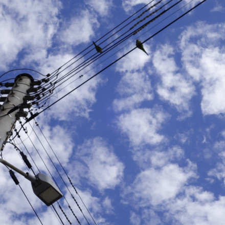 ΔΕΔΔΗΕ: Διακοπές ρεύματος σε 8 περιοχές της Αττικής την Δευτέρα 27 Οκτωβρίου - Δείτε αναλυτικά