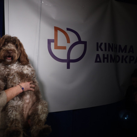 «Πολιτικός της τάβλας ο Τσίπρας»