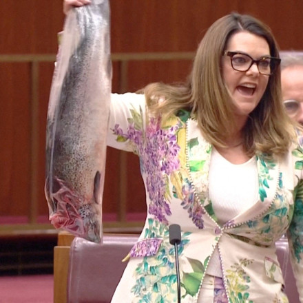 Αυστραλία: Γερουσιαστής «έβγαλε» νεκρό σολομό μέσα στο Κοινοβούλιο - Δείτε βίντεο