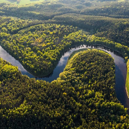 Βραζιλία: Η αποψίλωση του Αμαζονίου μειώθηκε κατά ένα τρίτο εντός 2023