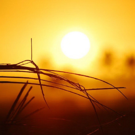 Το 2023 θα είναι «η πιο θερμή» χρονιά στην ιστορία - Νέο ρεκόρ τον Νοέμβριο